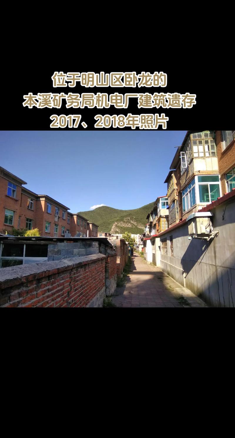 一卧龙建筑队重塑天际的匠心巨匠

**