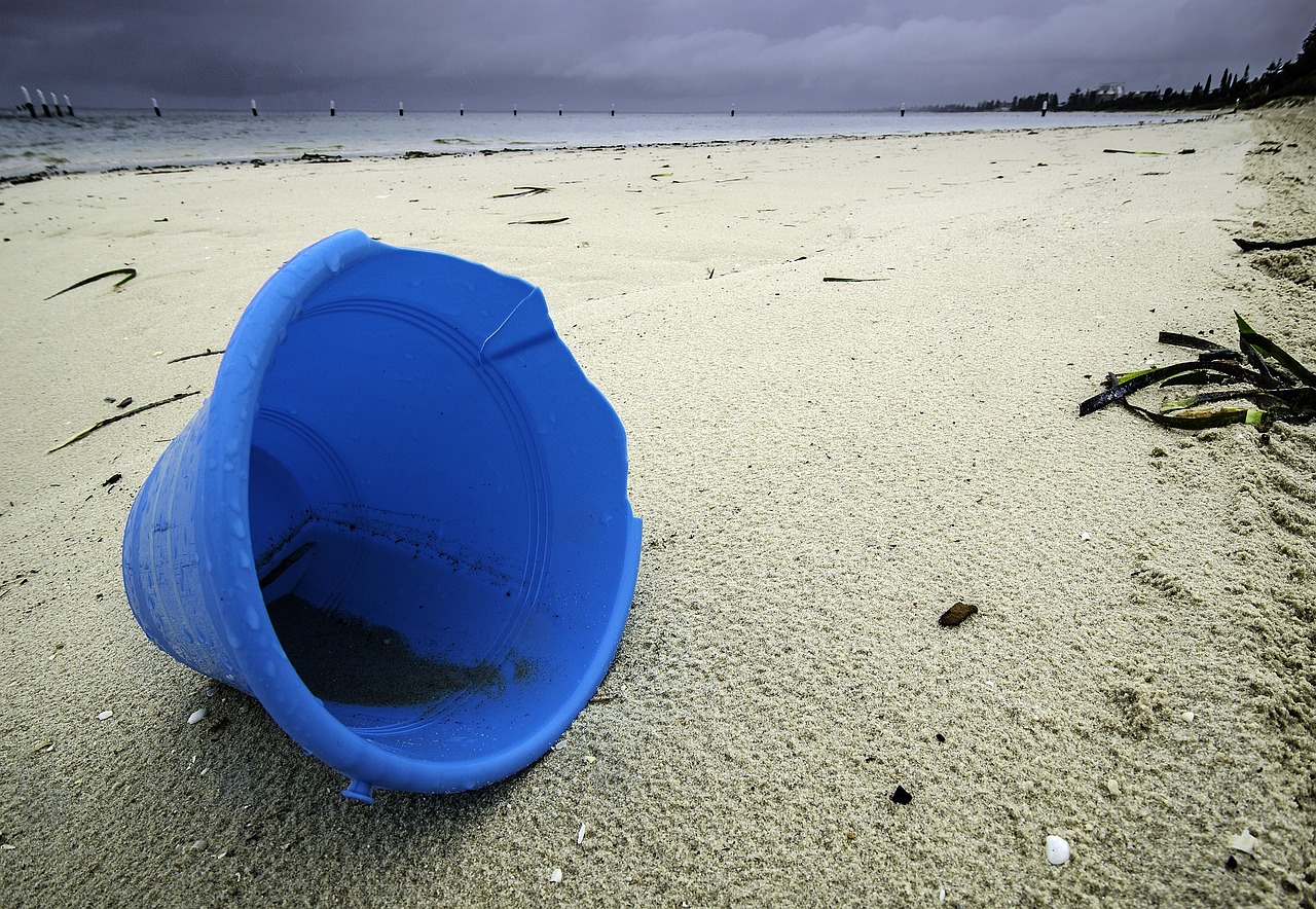 赶海遭雷击的原因分析