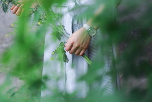 女子头戴鲨鱼夹摔倒后成植物人的故事